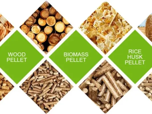 Sustainable Biomass Supply